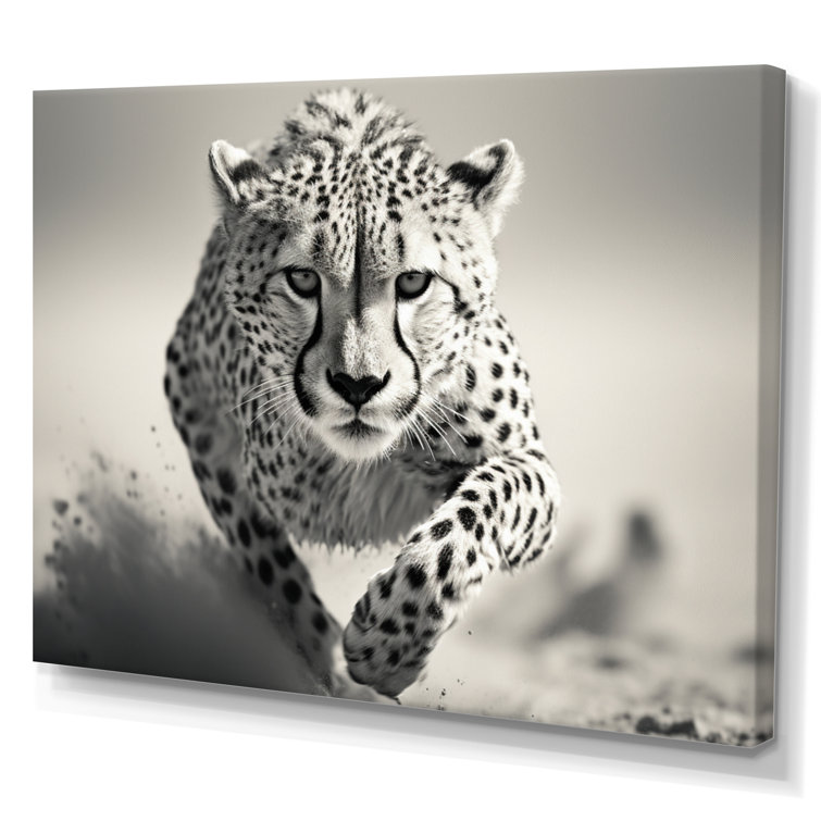 Ebern Designs " Africa Cheetahs Speed " on Canvas | Wayfair